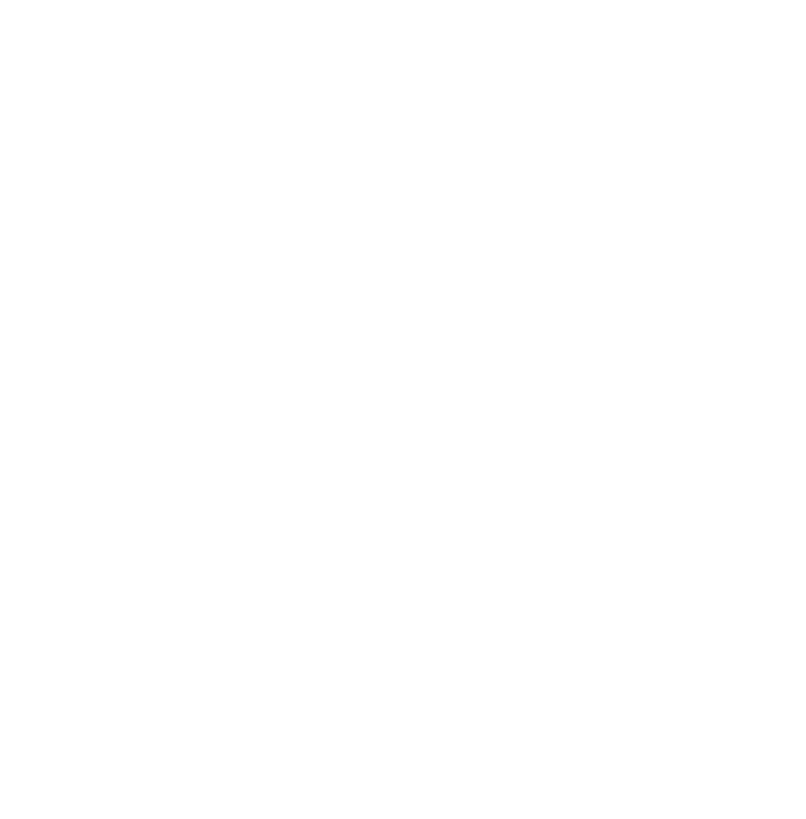 Brasão oficial do Gunfighters MC Chapter Brazil